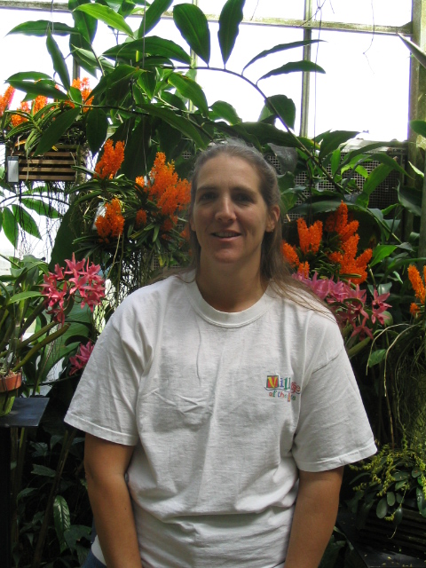 458x617 pixels (210K)