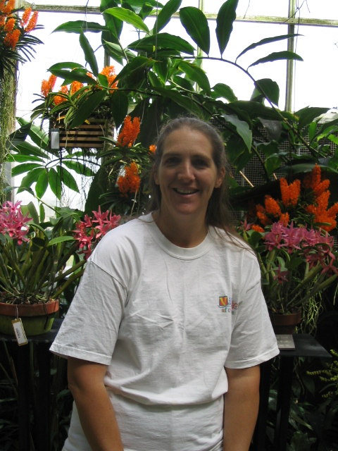 458x617 pixels (203K)