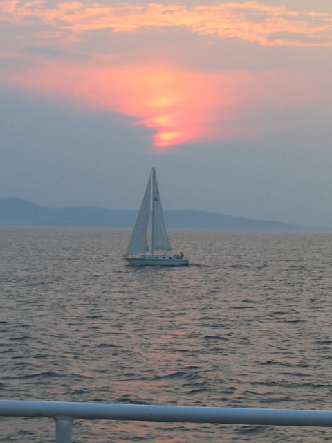 458x617 pixels (135K)