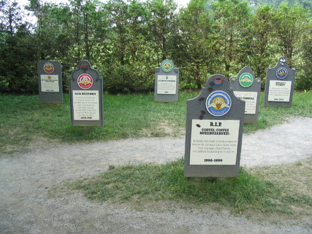 618x457 pixels (262K)